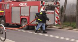 zdjęcie nr 31