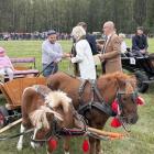 zdjęcie nr 157