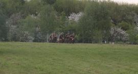 zdjęcie nr 183