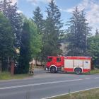 Fotka nr 3 z 11