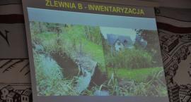zdjęcie nr 15