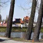 zdjęcie nr 8