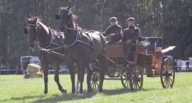 zdjęcie nr 27