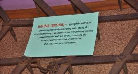 zdjęcie nr 90