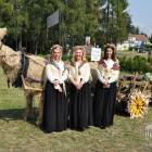 zdjęcie nr 17