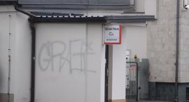 Fotka nr 5 z 13