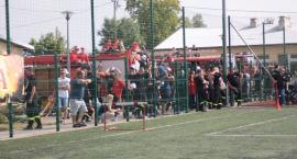 zdjęcie nr 11