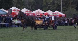 zdjęcie nr 66