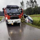 Fotka nr 1 z 2