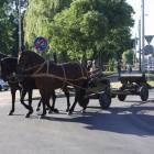 zdjęcie nr 120