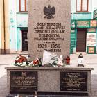 zdjęcie nr 14