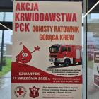 zdjęcie nr 14