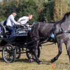 zdjęcie nr 107
