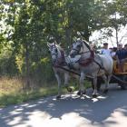 zdjęcie nr 80