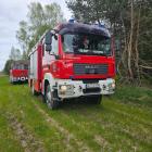 Fotka nr 3 z 34