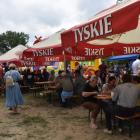 zdjęcie nr 45