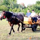 zdjęcie nr 85