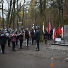 zdjęcie nr 135