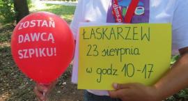 zdjęcie nr 13