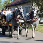 zdjęcie nr 100
