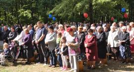 zdjęcie nr 31