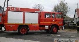 zdjęcie nr 7