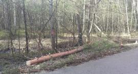 zdjęcie nr 13