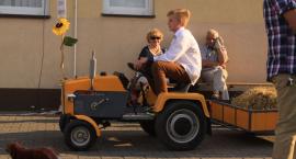 zdjęcie nr 15