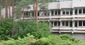 zdjęcie nr 11