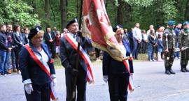zdjęcie nr 9