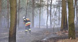 zdjęcie nr 18