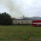 Fotka nr 1 z 5