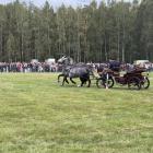 zdjęcie nr 11