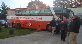 Fotka nr 5 z 10