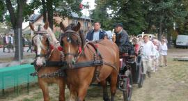 zdjęcie nr 28
