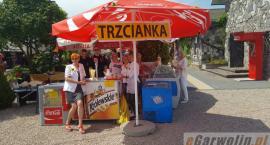 zdjęcie nr 15