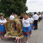 zdjęcie nr 8