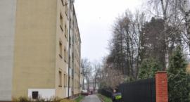 zdjęcie nr 8