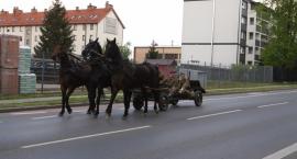 zdjęcie nr 67