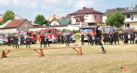 zdjęcie nr 42