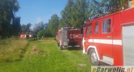 Fotka nr 1 z 11