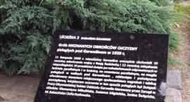 zdjęcie nr 43