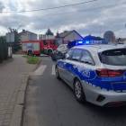Fotka nr 2 z 4