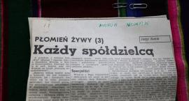 zdjęcie nr 10