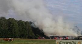 zdjęcie nr 31
