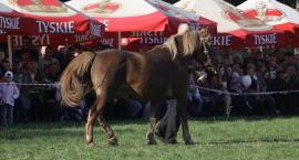zdjęcie nr 90