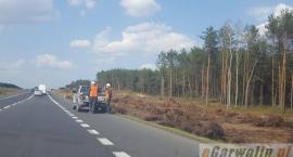 zdjęcie nr 12