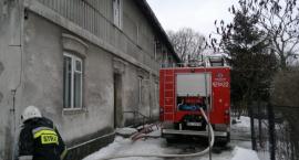 zdjęcie nr 12