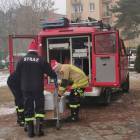 zdjęcie nr 36