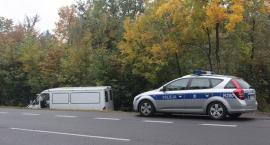 Fotka nr 5 z 8